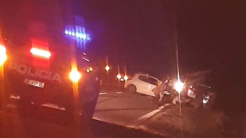 Fuerte choque contra un animal suelto en la ruta 46