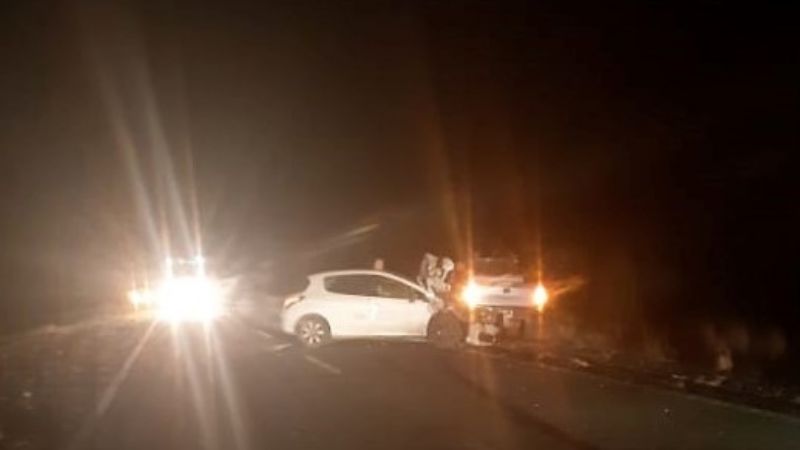 Fuerte choque contra un animal suelto en la ruta 46