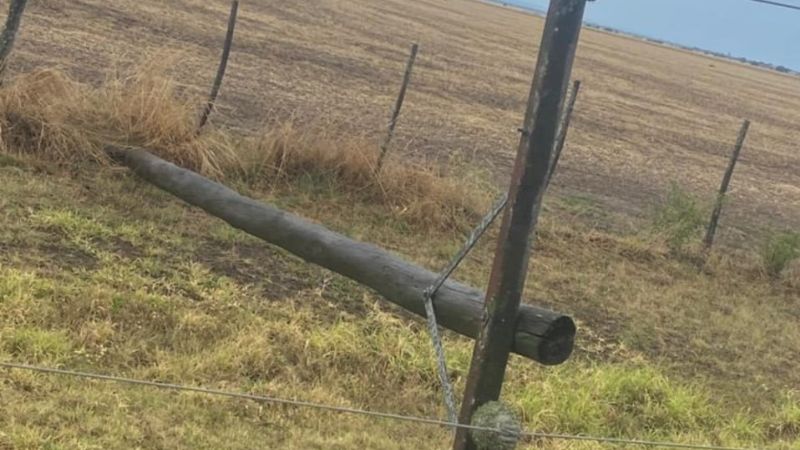 La tormenta provocó daños en el sistema eléctrico del Este