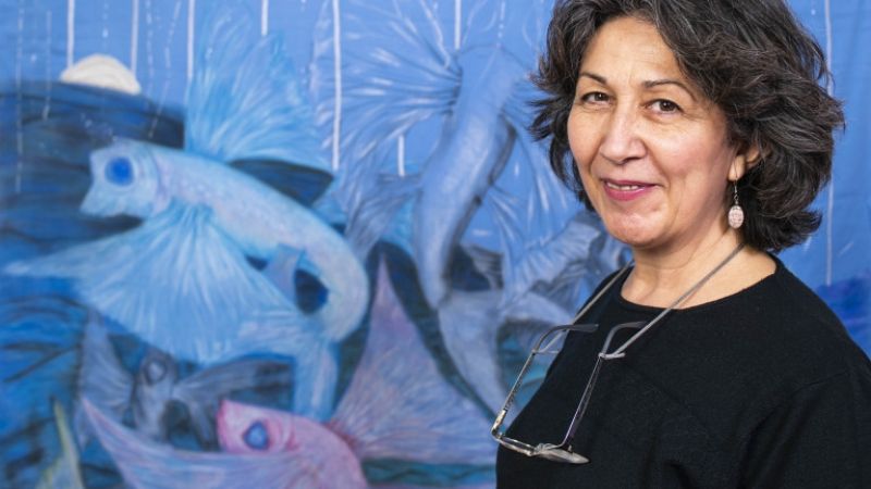 Abre muestra de “dibujos blandos”, de Rossana Barboza Tessari