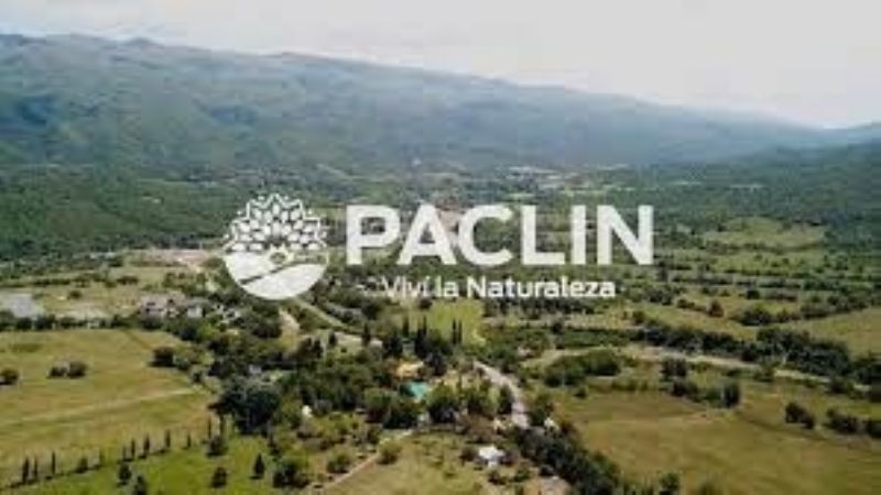 Del Arco, senadora electa por Paclín