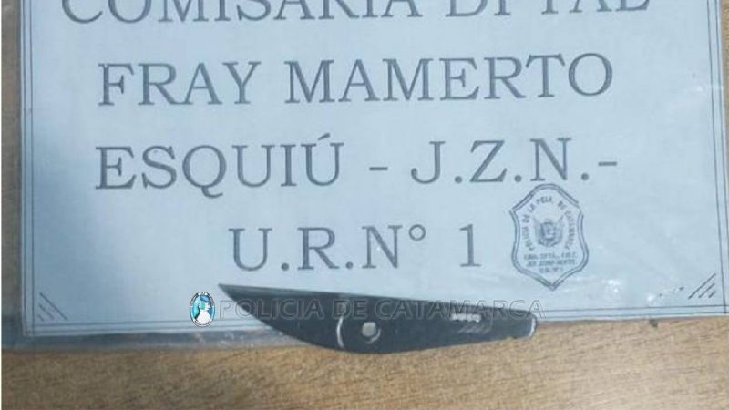 Entró a robar a un negocio y amenazó con un cuchillo a la dueña