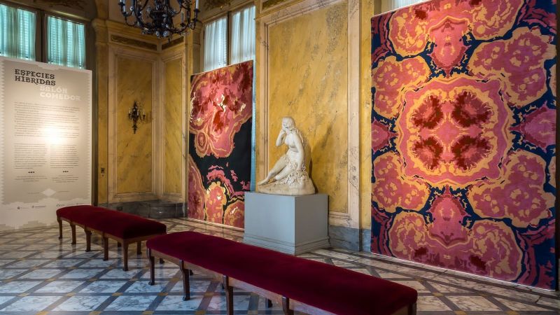 Cristian Mohaded expone “Territorio Híbrido”