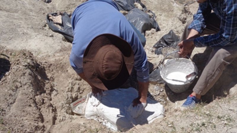 Descubren restos de un desconocido mamífero fósil