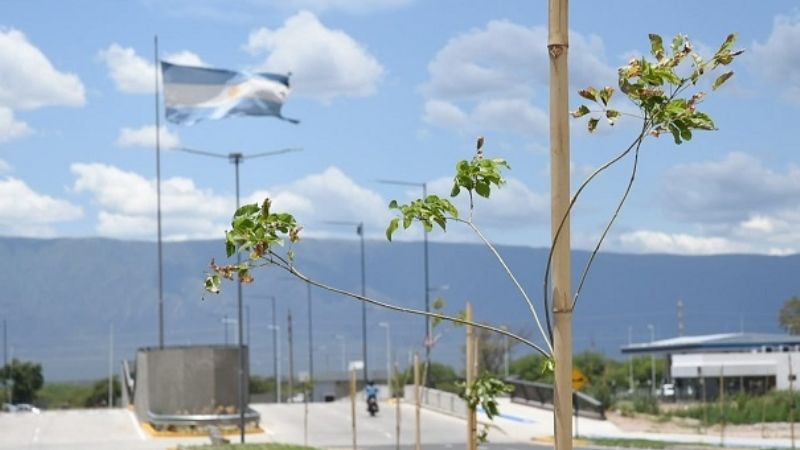 Ultiman detalles en la renovada plaza 25 de Agosto