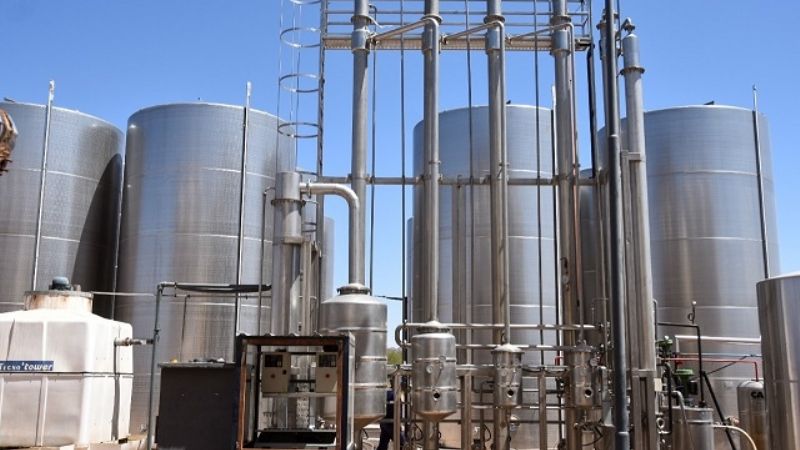 Catamarca inicia la exportación de Mosto a Sudáfrica