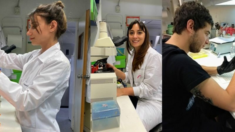 Covid-19: efectos en los ovarios, pero sin daños irreversibles