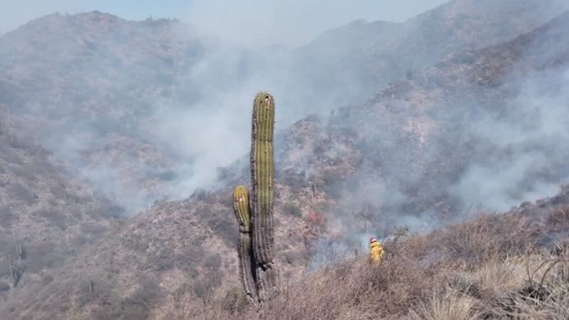 Catamarca y La Rioja se unen para combatir incendio forestal en La Cebila