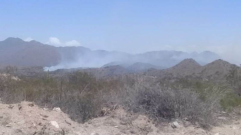 Combaten incendio forestal en Belén