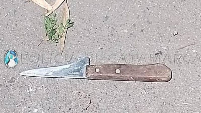 Detuvieron a hombre que quiso acuchillar a una mujer