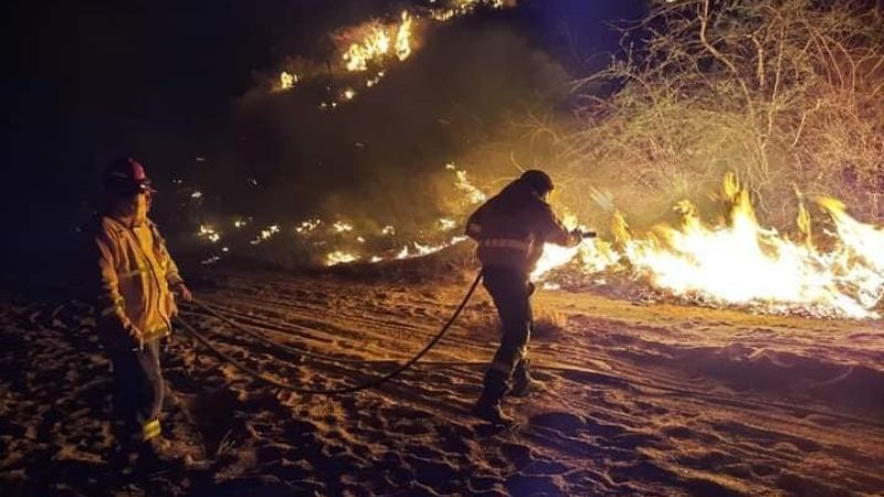 Precaución al transitar por ruta 60 a la altura de "La Cébila"