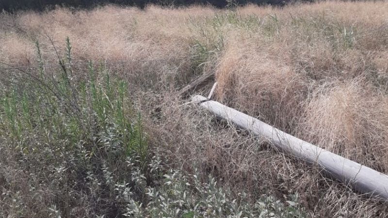 Se cayeron ocho postes de luz en Capayán