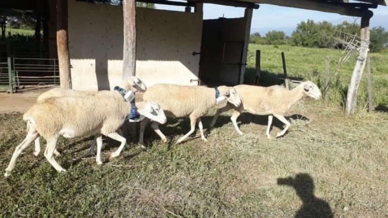 Experimento local generó el interés de medios nacionales