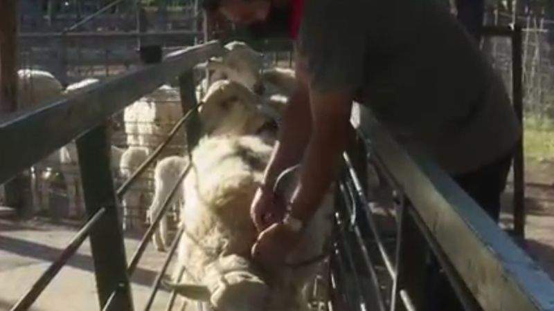 Experimento local generó el interés de medios nacionales