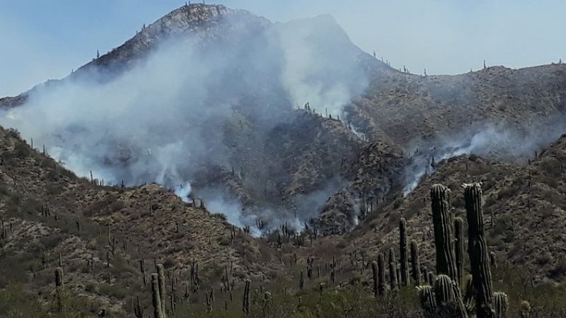 Continúan las tareas por el incendio en La Cébila