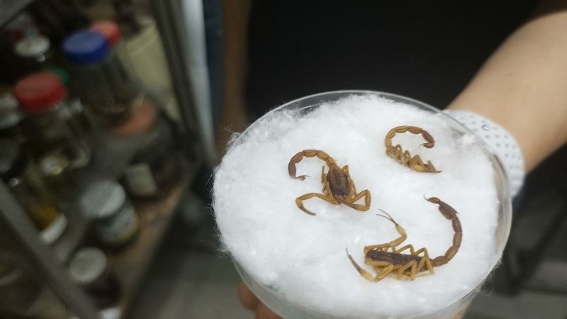 Requieren escorpiones para la producción de antídotos