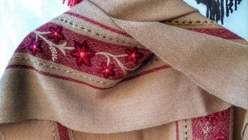 Tinogasta se destacó en la noche de las Casas de Provincias