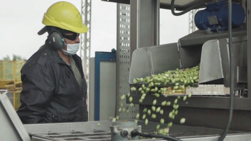 2000 millones para activar la economía de Catamarca