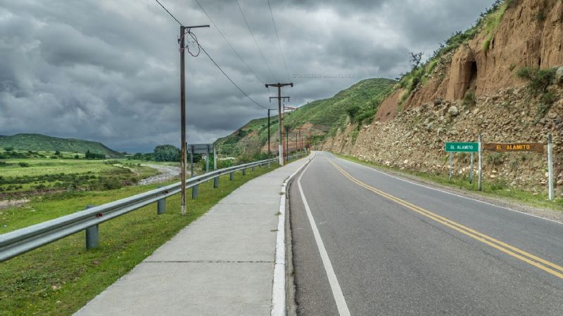 Se cayó un árbol y dejó sin energía a Aconquija