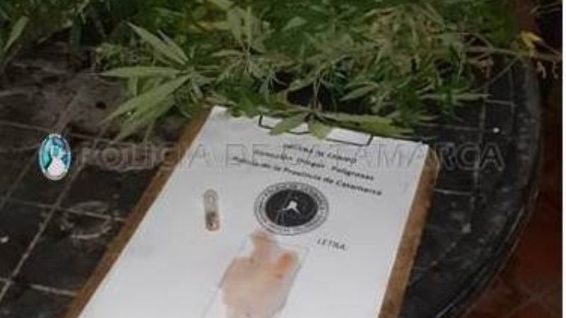 Policías buscaban cosas robadas y se encontraron con armas de fuego
