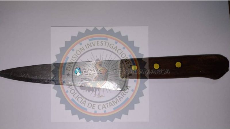 Atacó a su ex a golpes de puño y le clavó un cuchillo