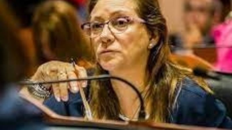 Diputada pide la renuncia del Jefe de Policía