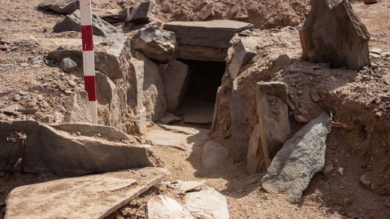 El Senado de la Nación declaró de interés hallazgo arqueológico