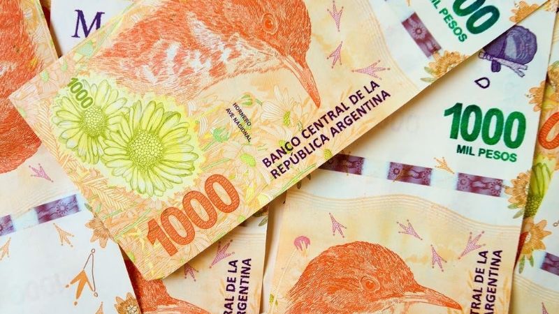 Se paga el bono de fin de año de ANSES