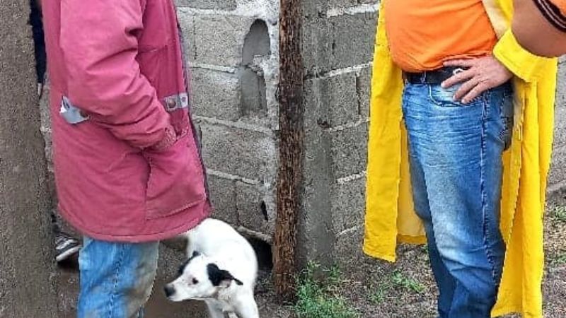 Se cayó el techo de una vivienda y una persona terminó herida