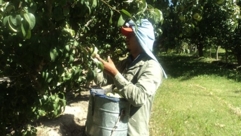 No hay acuerdo con el bono de fin de año de los rurales