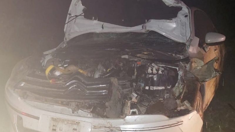 Una familia bonaerense chocó contra un caballo en La Paz