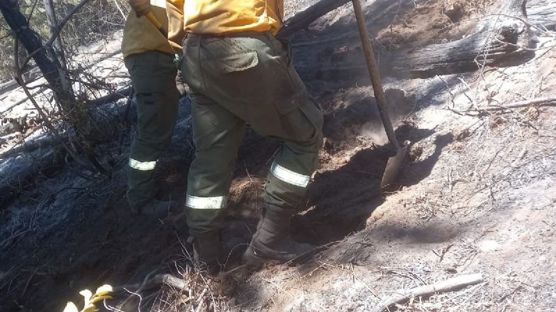 Brigadistas catamarqueños combaten incendios en el Sur