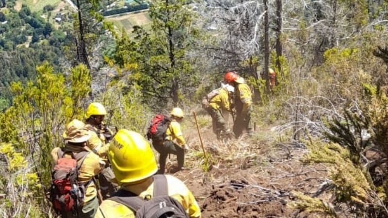Brigadistas catamarqueños combaten incendios en el Sur