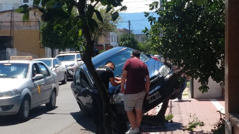 Inexplicable: un auto quedó parado contra un árbol