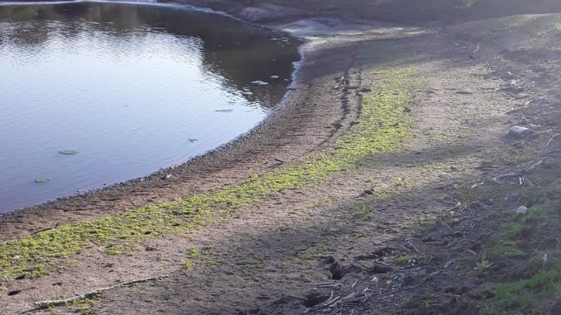 Se amplía la veda de pesca en los diques Sumampa y Alijilán