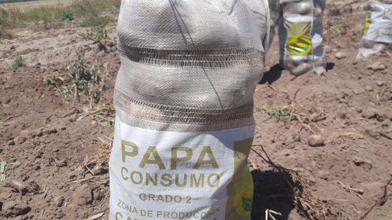 Detectan varios trabajadores no registrados en La Paz