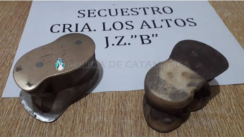 Reunión clandestina con juegos de azar