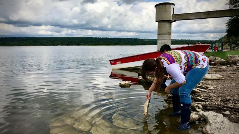Las variables climáticas, causa de mortandad de peces
