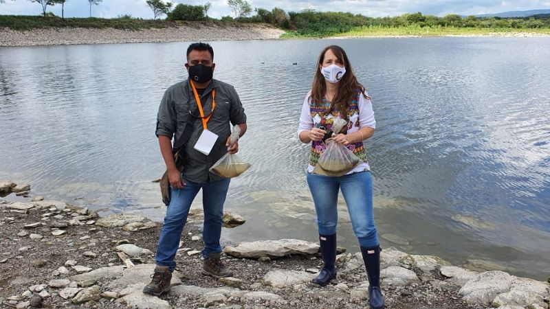 Las variables climáticas, causa de mortandad de peces