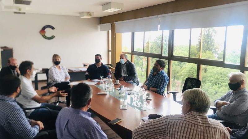 Buscan desarrollar el pollo para consumo