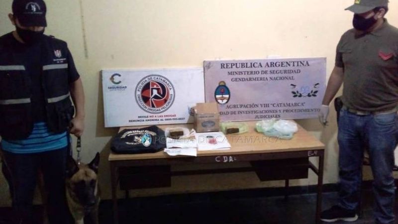 Perro adiestrado detectó una encomienda con 480 gr. de marihuana