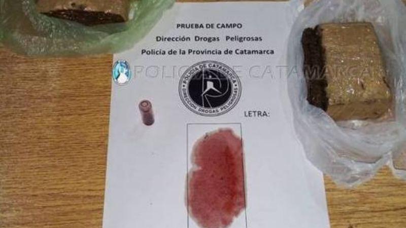 Perro adiestrado detectó una encomienda con 480 gr. de marihuana