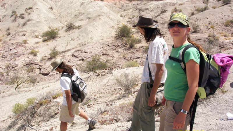 Nueva especie de rincosaurio de 230 millones de años de antigüedad