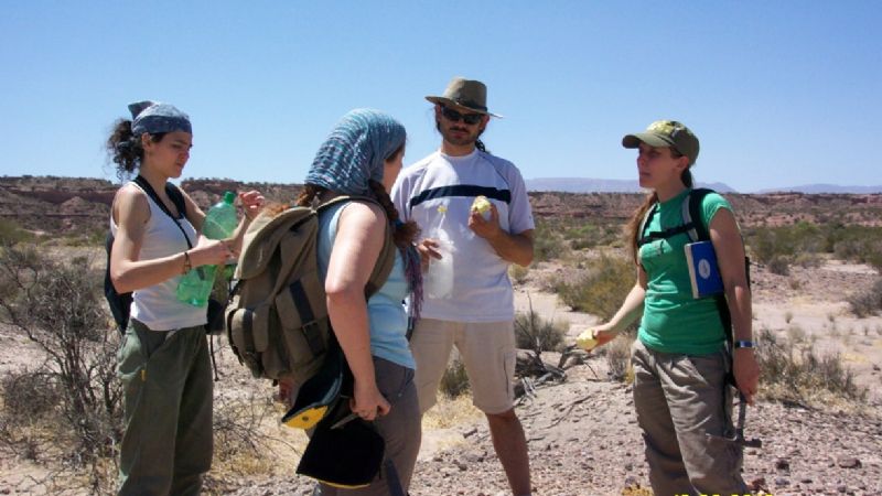 Nueva especie de rincosaurio de 230 millones de años de antigüedad