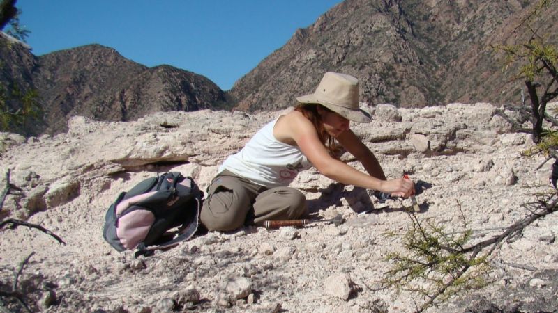 Nueva especie de rincosaurio de 230 millones de años de antigüedad