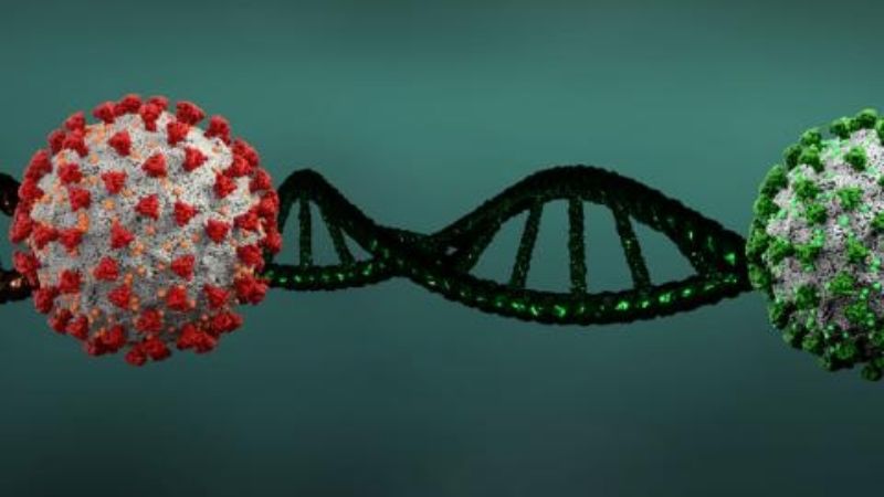 Advierten que la nueva cepa británica del Covid-19 "barrerá el mundo"