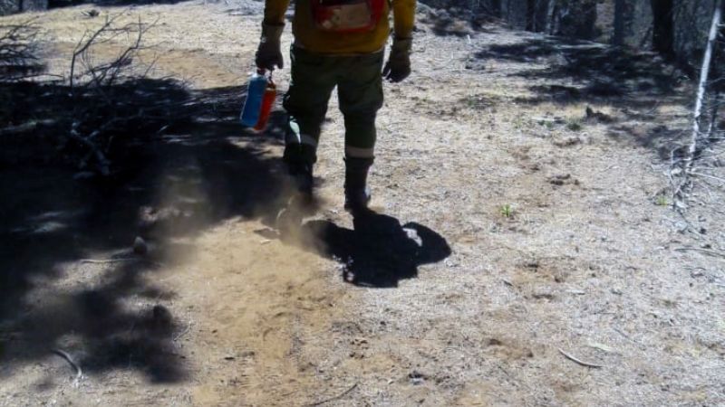 Destacada labor de combatientes catamarqueños en Rio Negro