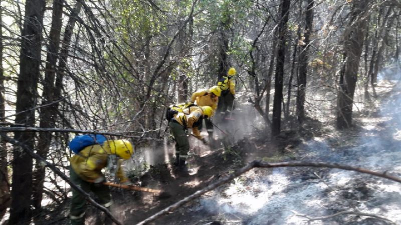 Destacada labor de combatientes catamarqueños en Rio Negro