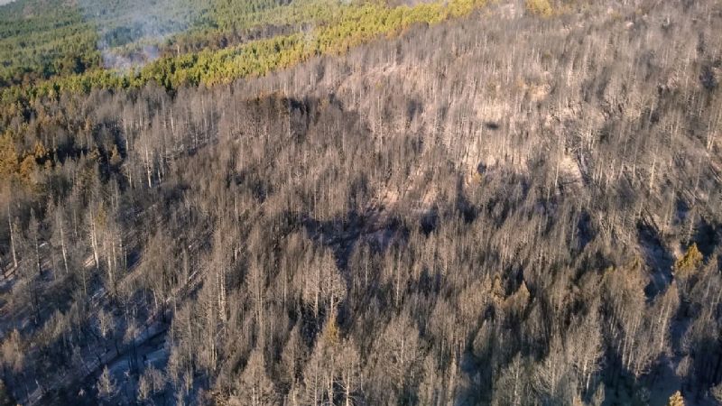 Destacada labor de combatientes catamarqueños en Rio Negro