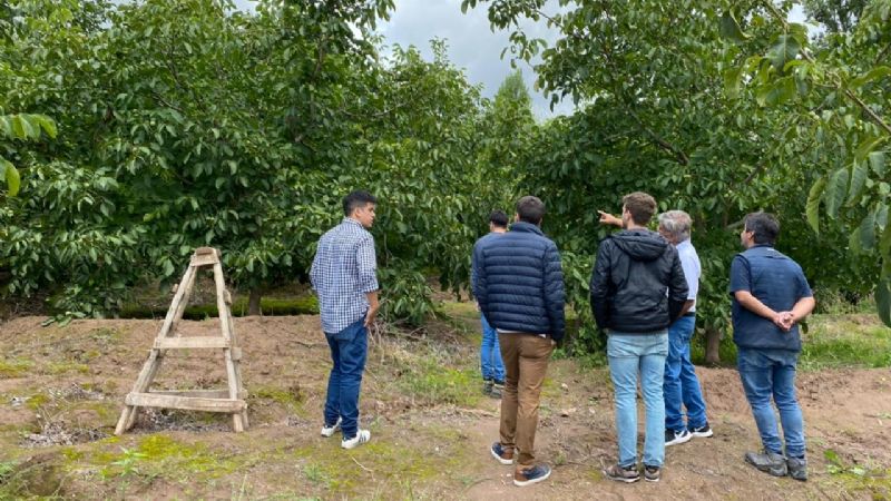 Empresarios de Barcelona con productores nogaleros de Pozo de Piedra